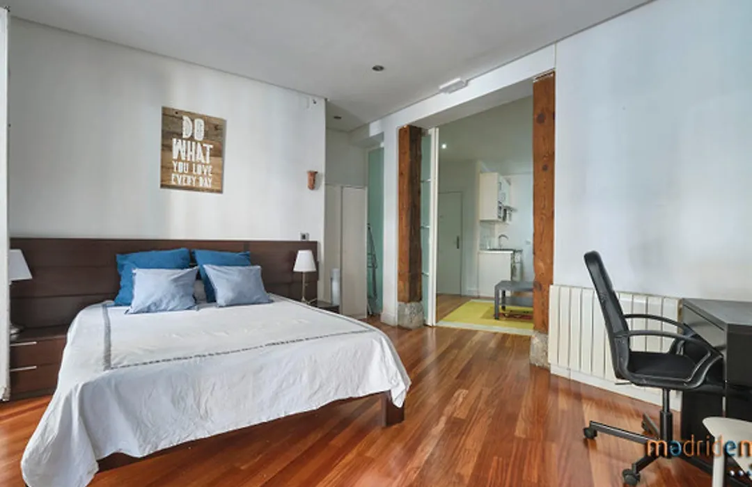 Madrid City Apartment-1
